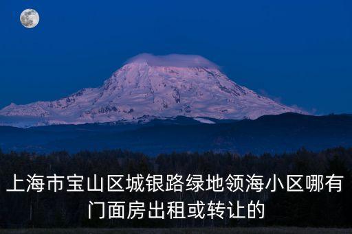 上海市寶山區城銀路綠地領海小區哪有門面房出租或轉讓的