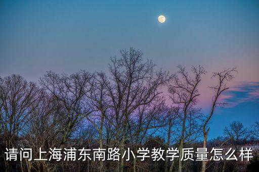 上海市東南小學，上海浦東南路小學如何