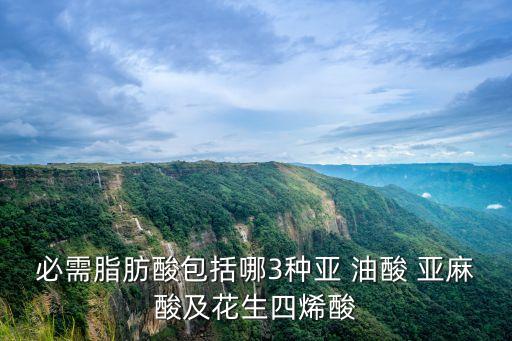 亞麻油酸,必需脂肪酸是關(guān)鍵要換不同食用油