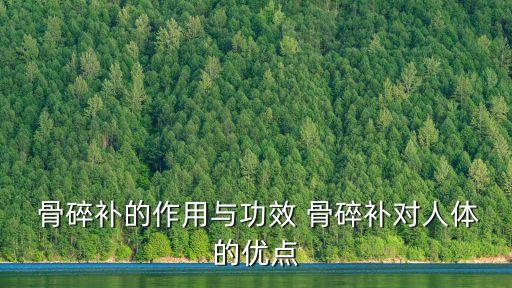  骨碎補(bǔ)的作用與功效 骨碎補(bǔ)對人體的優(yōu)點(diǎn)