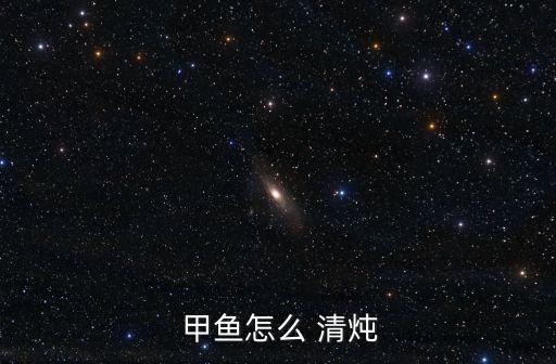  甲魚怎么 清燉