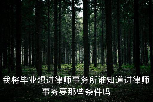 我將畢業想進律師事務所誰知道進律師事務要那些條件嗎