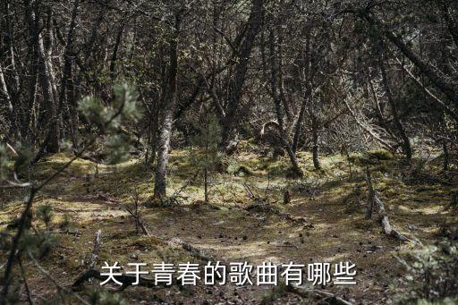 青春歌曲，關于青春的歌有哪些