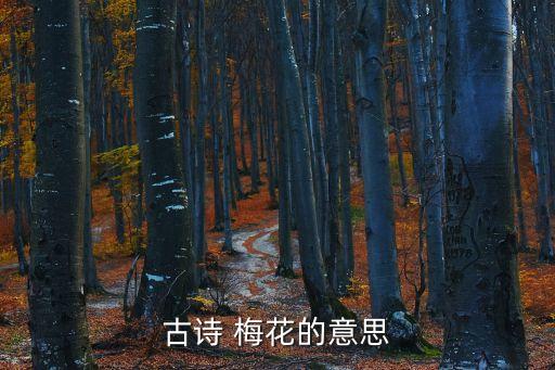 梅花的意思,第二集:梅花擬人化獨(dú)自盛開(kāi)