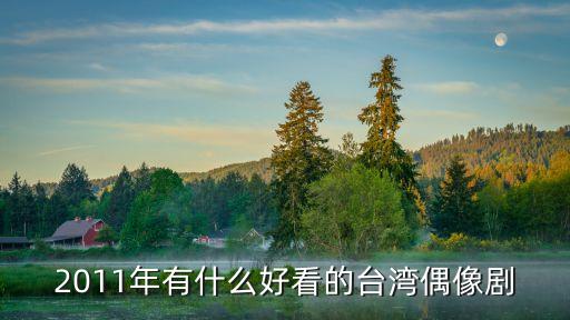 2011年有什么好看的臺灣偶像劇