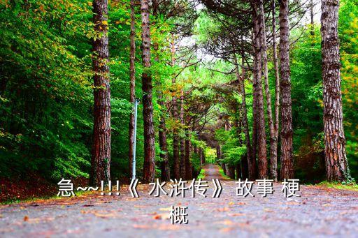 水滸傳故事梗概,水滸傳是元末明初作家施耐庵的小說