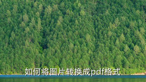 flashpaper,將word轉換成pdf格式方法如下
