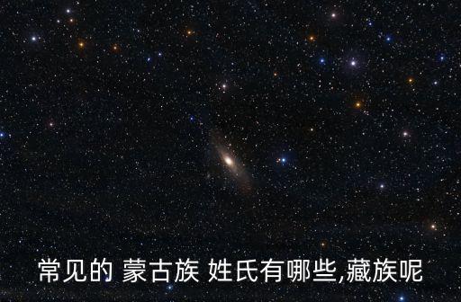 蒙古族姓氏,蒙古族第四個姓氏以漢族姓氏為姓