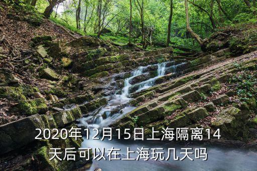 上海市能上能下，我買的車票是上海站的上海西能一下嗎
