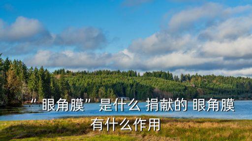 眼角膜捐獻,捐獻眼角膜可幫助盲人復明嗎?