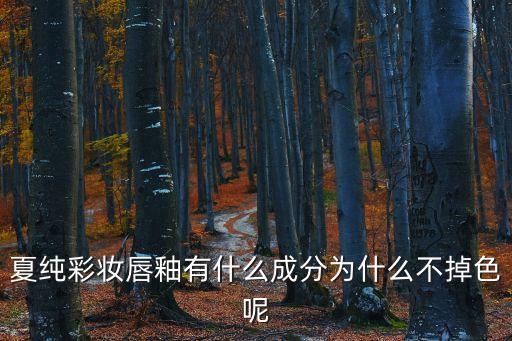 夏純彩妝唇釉有什么成分為什么不掉色呢