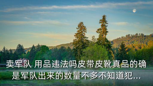 軍事用品,關(guān)于非法軍品你必須知道的事情