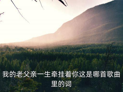歌曲我的老父親，我的老父親是誰(shuí)唱的