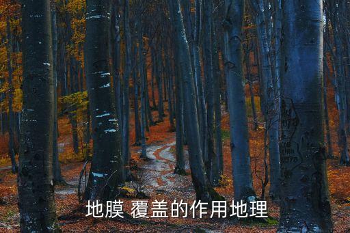 地膜覆蓋,蘋果樹下覆蓋地膜太陽光照不到農田里