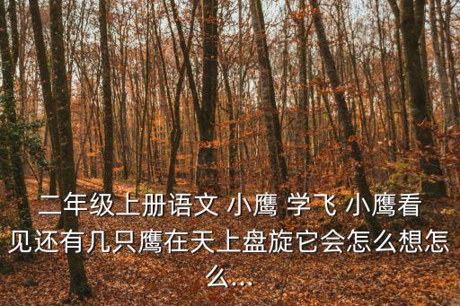 小鷹學飛,跟著老鷹學飛行小鷹高興地尖叫:我已經會飛了