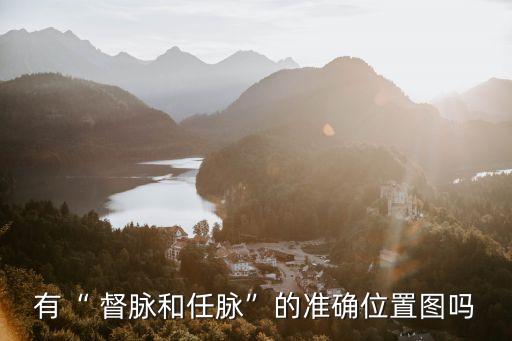 有“ 督脈和任脈”的準確位置圖嗎