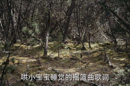 哄小寶寶睡覺的搖籃曲歌詞