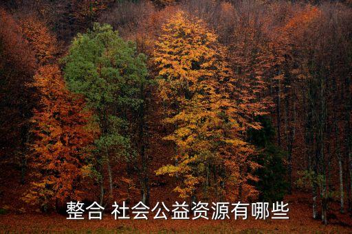 社會(huì)整合,社會(huì)組織可能影響社區(qū)發(fā)展和居民自治