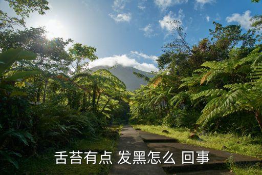  舌苔有點 發(fā)黑怎么 回事