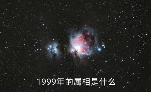 1999年是什么年,公元1999年為兔年農歷屬兔