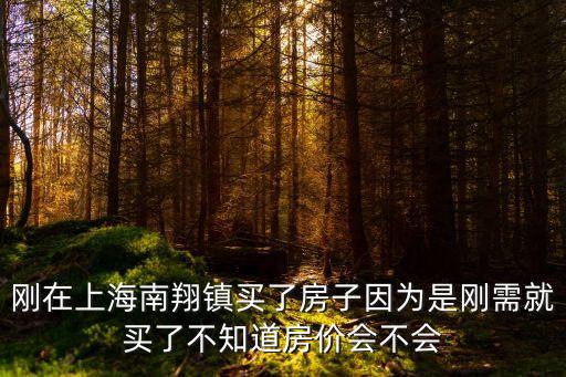 剛在上海南翔鎮買了房子因為是剛需就買了不知道房價會不會