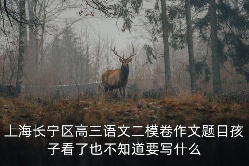 上海市高考語文二模卷，上海高考各區(qū)第一次第二次模擬卷可以買什么做