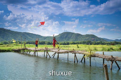 shuxue，shuxue數學