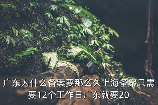 廣東為什么備案要那么久上海備案只需要12個工作日廣東就要20
