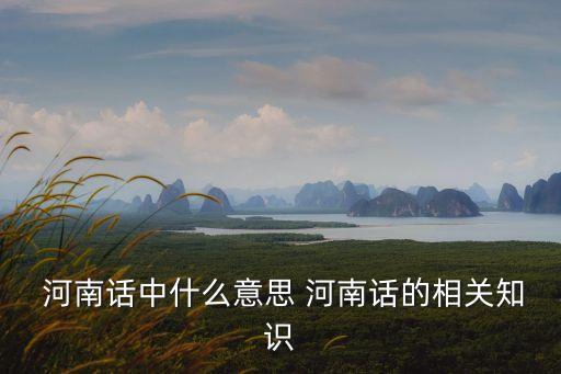 河南話,學(xué)習(xí)河南方言從扮演小丑開始