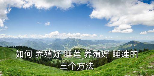 睡蓮的養(yǎng)殖方法,養(yǎng)殖荷蘭菊最懶人!