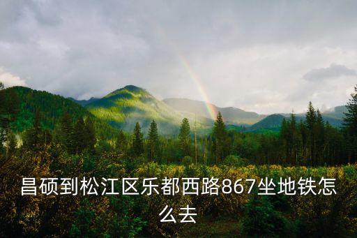 上海市樂都西路867號，昌碩到松江區(qū)樂都西路867坐地鐵怎么去
