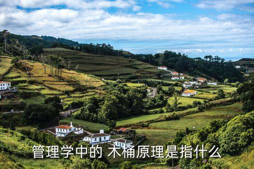 木桶定律,木桶定律揭曉企業如同一個大木桶