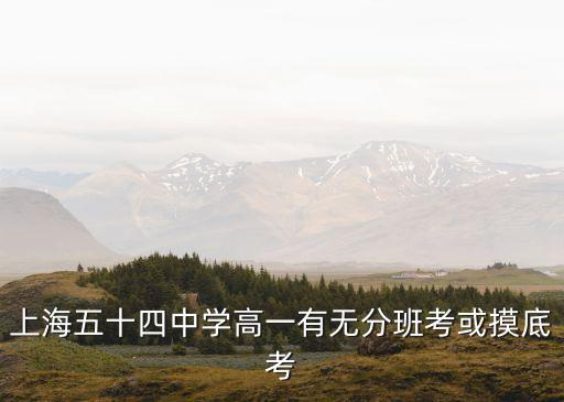上海五十四中學高一有無分班考或摸底考