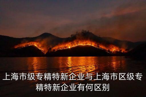 上海市專精特新中小企業，什么是專精特新企業