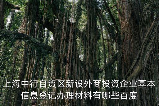 上海市外商投資企業(yè)備案，上海自貿(mào)區(qū)怎么辦理外商投資備案