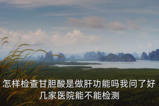 甘膽酸是查什么的，甘膽酸的檢測
