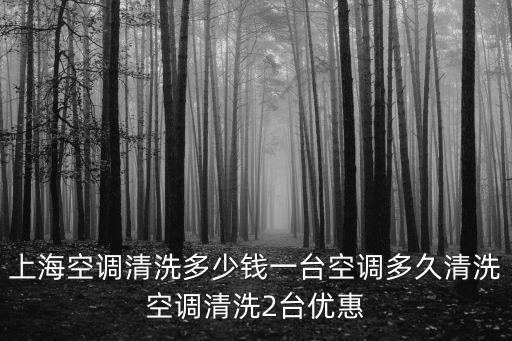 上海市空調(diào)清洗協(xié)會，上海空調(diào)清洗保養(yǎng) 上海上門清洗空調(diào)多少錢
