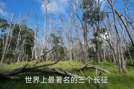 偉大遠征，長征是一次具有世界影響力的偉大遠征紅軍長政的出發點在哪
