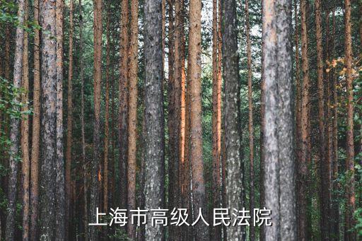 上海市法院信用懲戒制度，失信被執行人信用監督警示和懲戒機制建設的意見 懲戒措施有哪些