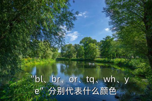“bl、br、or、tq、wh、ye”分別代表什么顏色