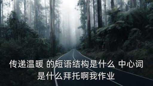傳遞溫暖 的短語結構是什么 中心詞是什么拜托啊我作業