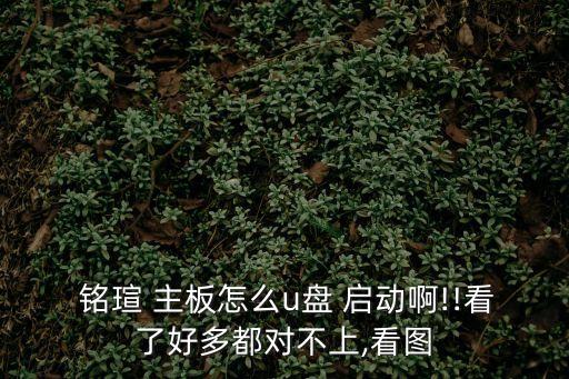  銘瑄 主板怎么u盤 啟動(dòng)啊!!看了好多都對(duì)不上,看圖