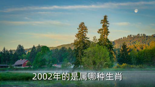 2002年的是屬哪種生肖