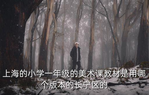 上海市小學(xué)美術(shù)課程綱要，上海的小學(xué)一年級(jí)的美術(shù)課教材是用哪個(gè)版本的長(zhǎng)寧區(qū)的