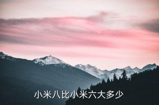 小米八比小米六大多少