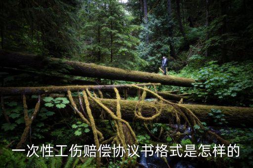 工傷一次性賠償協議書，員工工傷后一次性賠償協議怎么寫