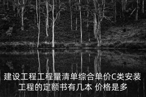建設工程工程量清單綜合單價C類安裝工程的定額書有幾本 價格是多
