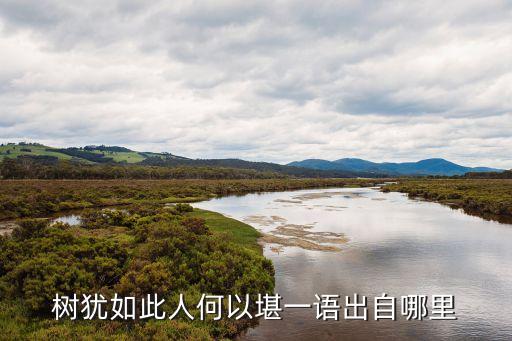 桓溫北伐，恒溫具有雄才偉略展開三次北伐是真的么