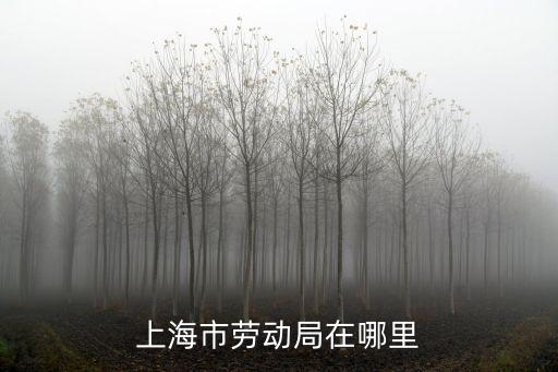 上海市工作單位地址，上海多少公司地址在哪里