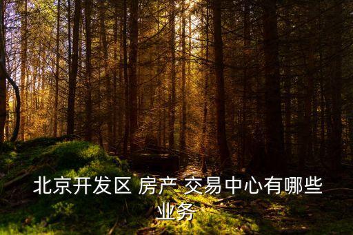  北京開發區 房產 交易中心有哪些業務